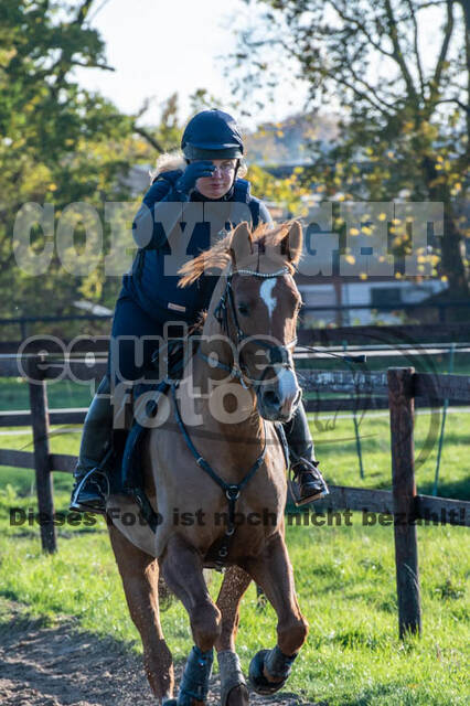Vielseitigkeitslehrgang mit Jürg Kurbel (9.+10.11.2019)