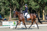Kronenberg - De Peelbergen (August 2020)