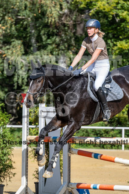 RFV Dinslaken-Hiesfeld (Herbstturnier)