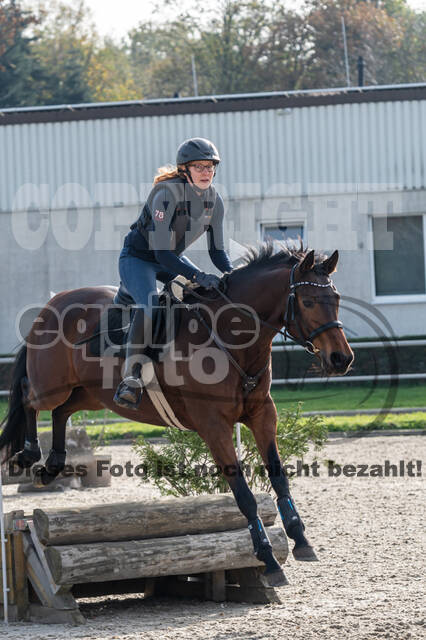 IGV Lehrgang der Sieger der Cups mit Frank Ostholt