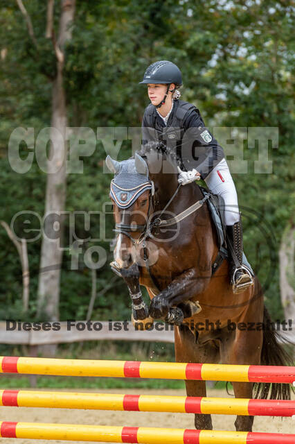 Vielseitigkeit RSV Wesel Obrighoven (26.+27.09.2020)