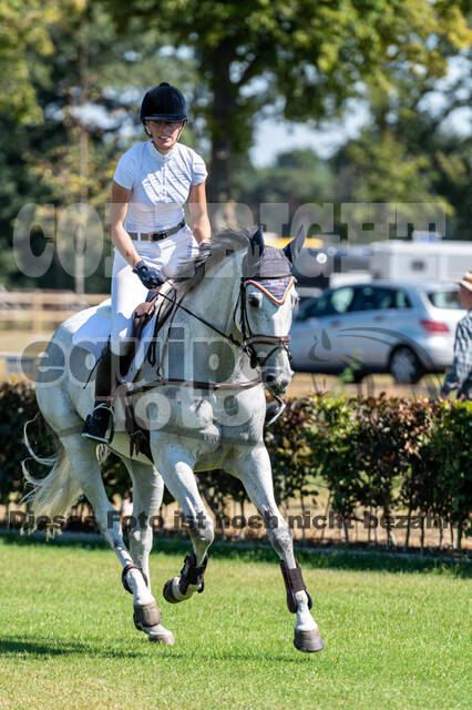 Kronenberg - De Peelbergen (August 2020)