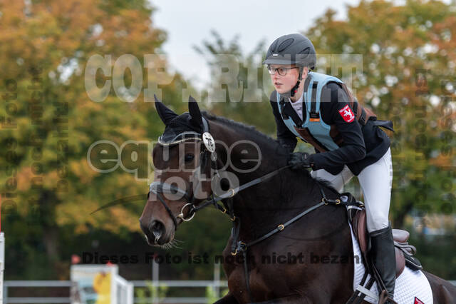 Goldene Schärpe 2020 - Pferde