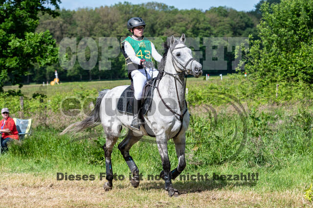 Westerstede Horse Trials (10.-13.06.2021)