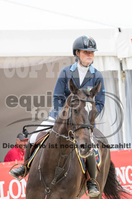 FEI European Championship