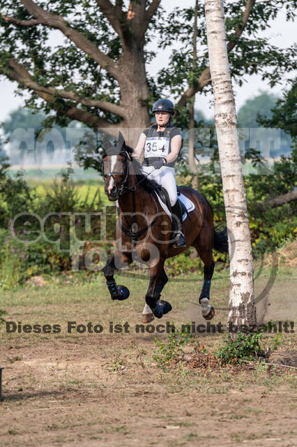 De Peelbergen (August 2020)