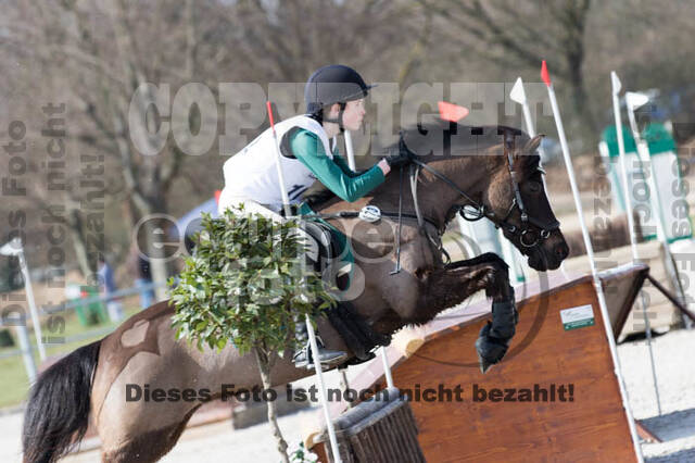 Eventing Langenfeld 2018