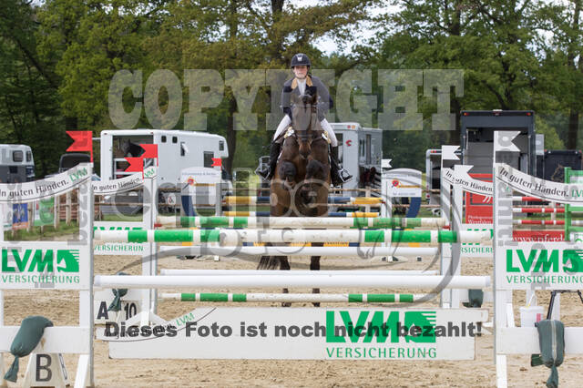 Sterne über Münster 2019 - CCI***S