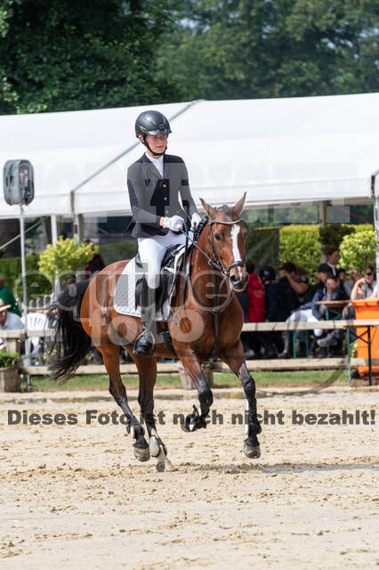 Goldene Schärpe 2021 - Ponys
