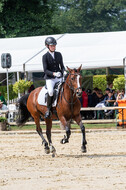 Goldene Schärpe 2021 - Ponys
