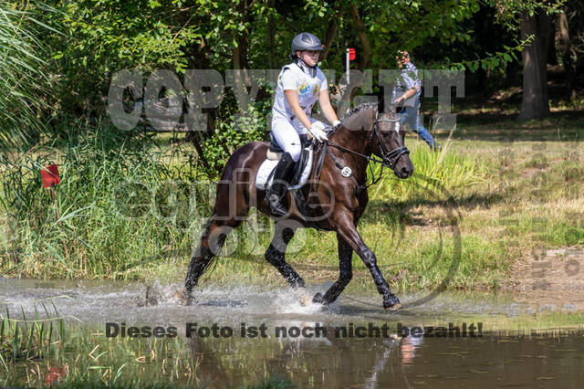 Late-Entry Vielseitigkeit Hamminkeln/Wesel (01.+02.08.2020)