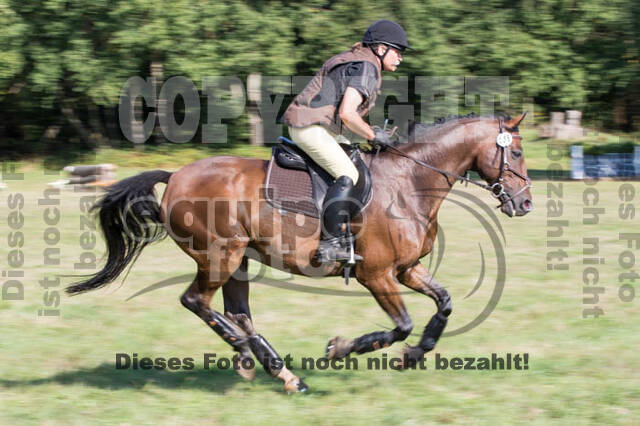 Vielseitigkeitsturnier RSV St. Hubertus Wesel Obrighoven
