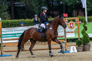 Goldene Schärpe 2021 - Ponys
