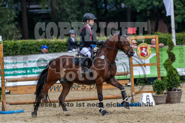 Goldene Schärpe 2021 - Ponys