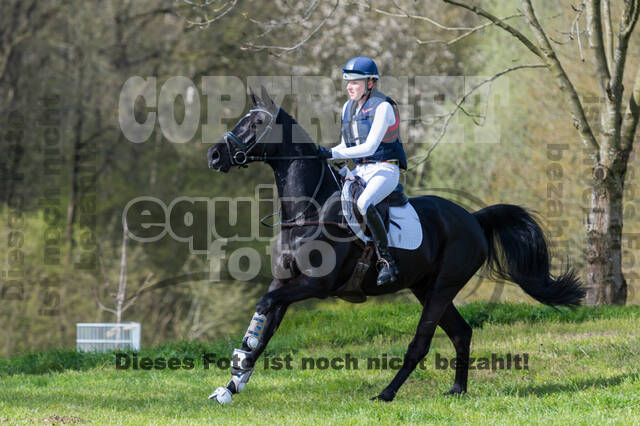 Friederike Paradies , Daily News P 