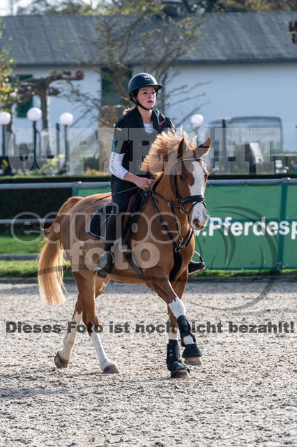 IGV Lehrgang der Sieger der Cups mit Frank Ostholt
