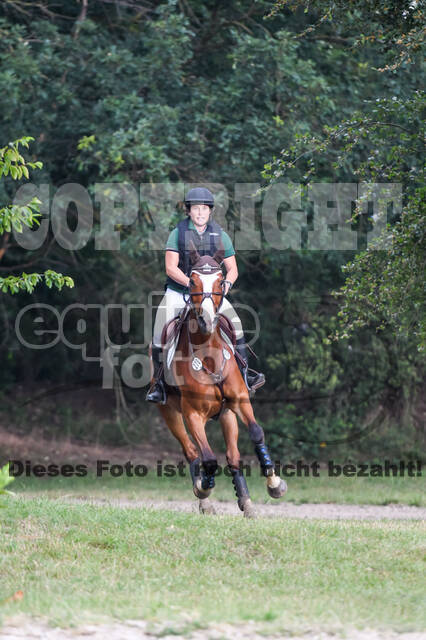 Late-Entry-Vielseitigkeit Langenfeld (11.+13./14.06.2020)