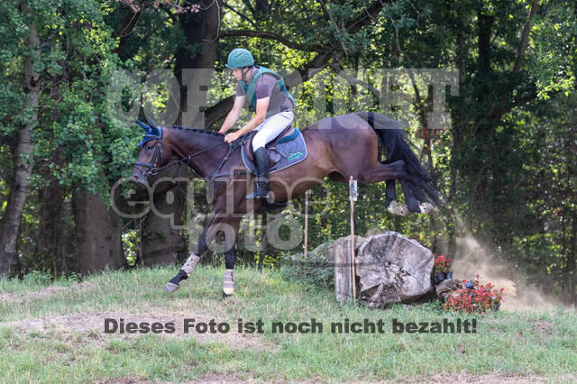 Late-Entry Vielseitigkeit Hamminkeln/Wesel (01.+02.08.2020)