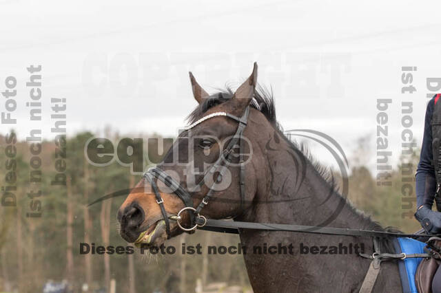 Geländetraining RSV St. Hubertus Wesel Obrighoven