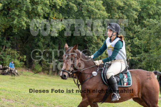 Vielseitigkeit RSV Wesel Obrighoven (26.+27.09.2020)