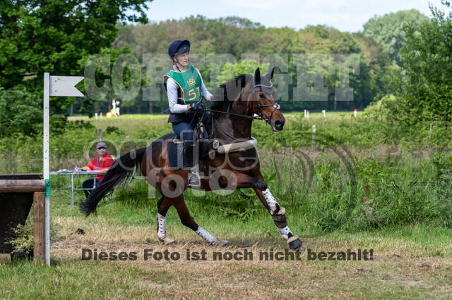 Westerstede Horse Trials (10.-13.06.2021)