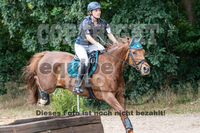 Late-Entry-Vielseitigkeit Langenfeld (11.+13./14.06.2020)