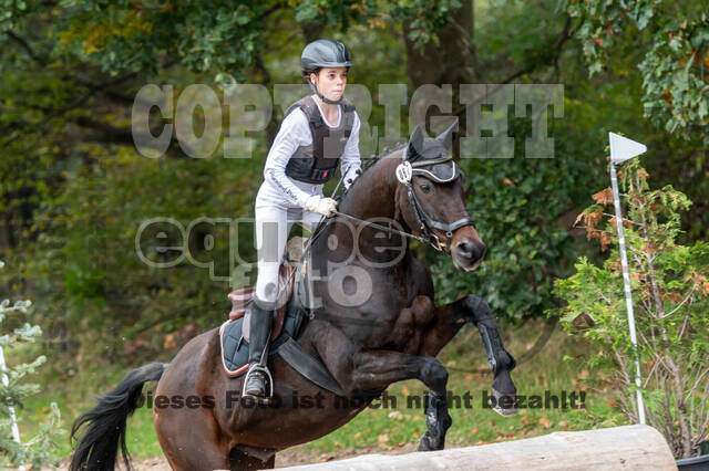 Goldene Schärpe 2020 - Pferde