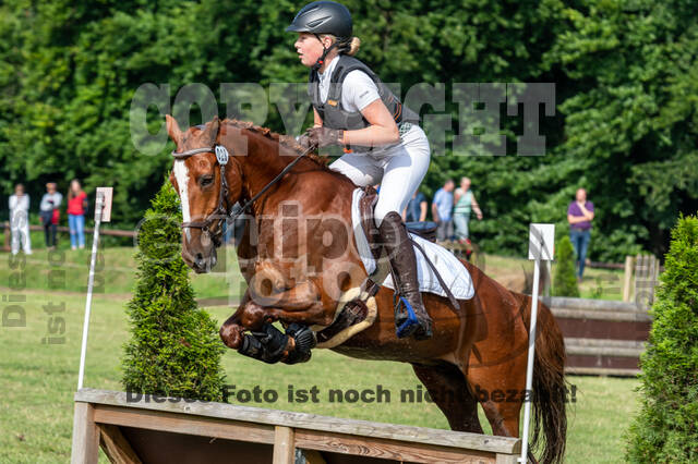 Goldene Schärpe 2021 - Ponys