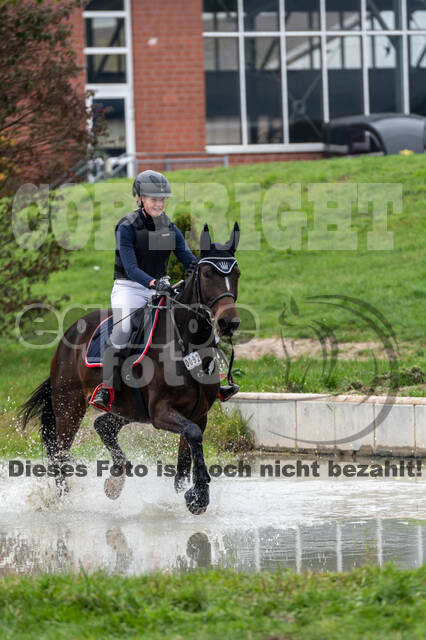 Goldene Schärpe 2020 - Pferde