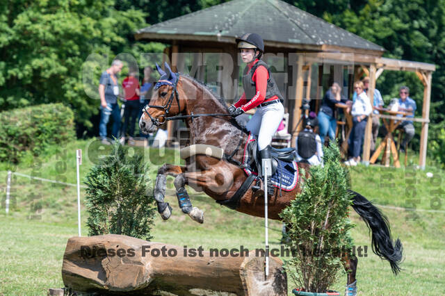 Goldene Schärpe 2021 - Ponys
