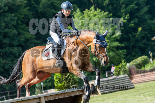 Goldene Schärpe 2021 - Ponys