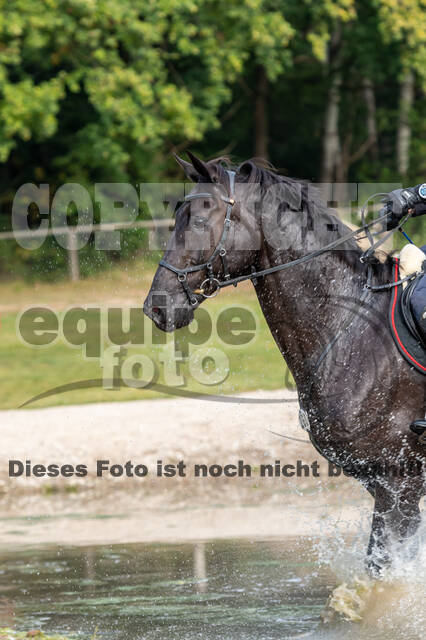 Deutsche Meisterschaft Vielseitigkeit (Luhmühlen)