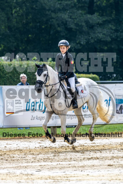 Goldene Schärpe 2021 - Ponys