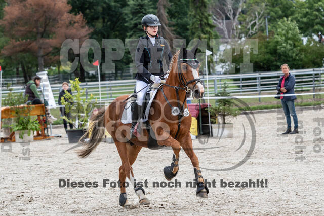 Late-Entry-Vielseitigkeit Langenfeld (06.+07.07.2020)