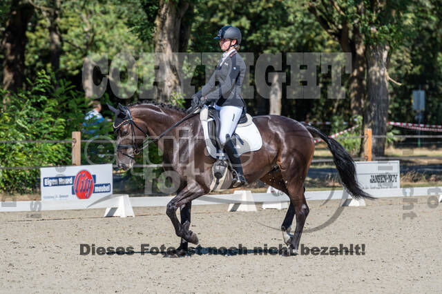 Kronenberg - De Peelbergen (August 2020)