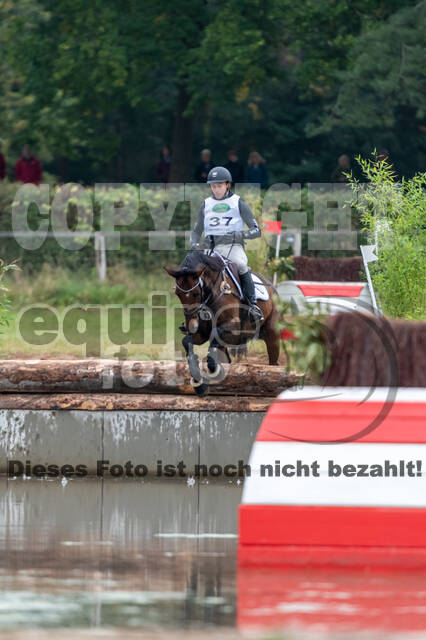Deutsche Meisterschaft Vielseitigkeit (Luhmühlen)