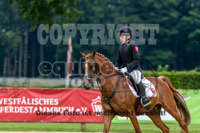 Goldene Schärpe 2021 - Ponys