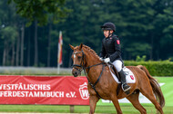 Goldene Schärpe 2021 - Ponys