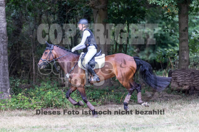 Late-Entry Vielseitigkeit Hamminkeln/Wesel (01.+02.08.2020)