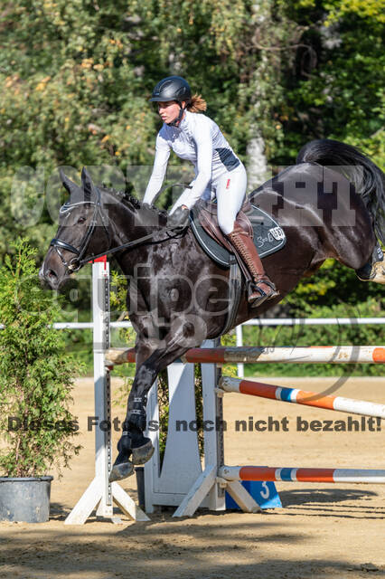 RFV Dinslaken-Hiesfeld (Herbstturnier)