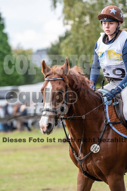 Vielseitigkeit RSV Wesel Obrighoven (26.+27.09.2020)