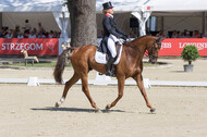 FEI European Championship Eventing 2017