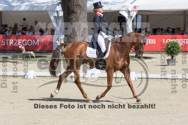FEI European Championship Eventing 2017