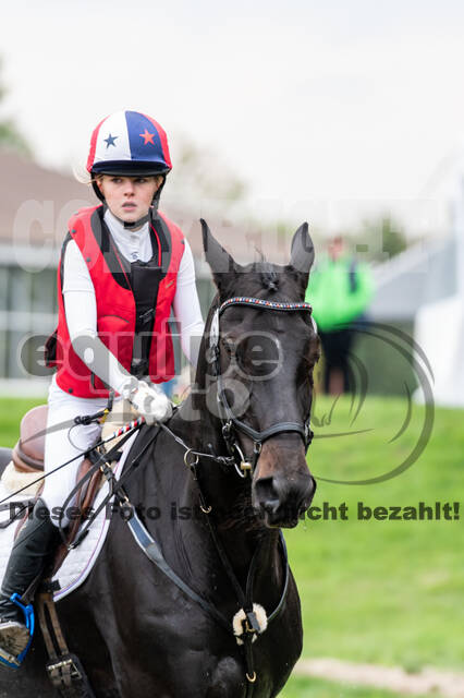 Goldene Schärpe 2020 - Pferde