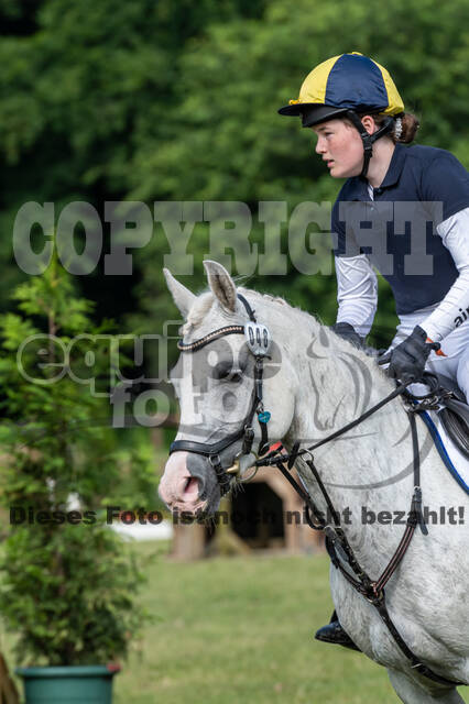 Goldene Schärpe 2021 - Ponys