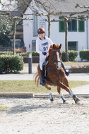 Eventing Langenfeld 2018