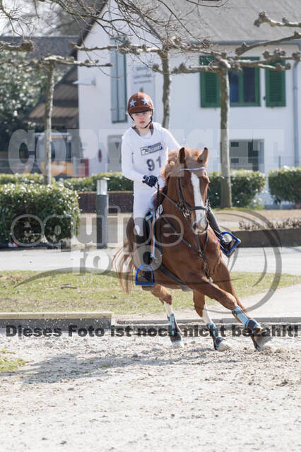 Eventing Langenfeld 2018