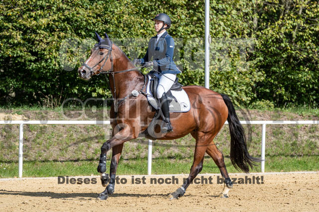 RFV Dinslaken-Hiesfeld (Herbstturnier)