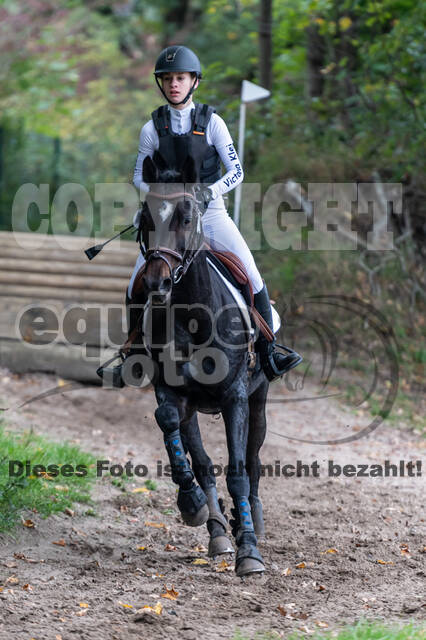 Goldene Schärpe 2020 - Pferde