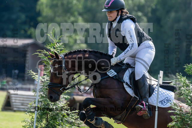 Goldene Schärpe 2021 - Ponys